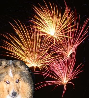GOTT NYTT ÅR GOTT NYTT ÅR