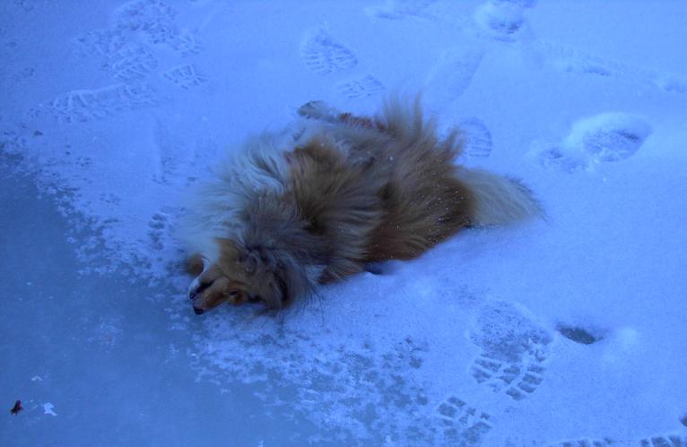 Snöööö!